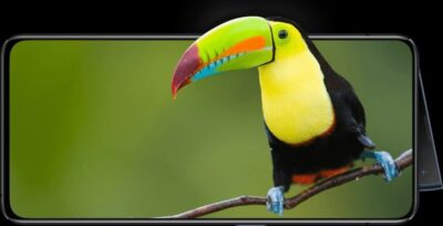 Oppo Reno 2 5G