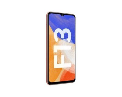 Samsung Galaxy F13
