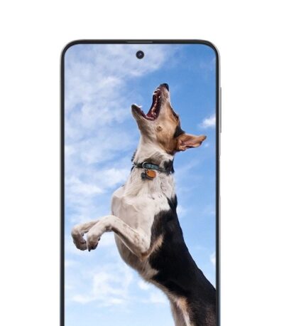 Samsung Galaxy M31s