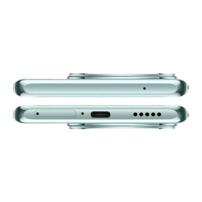vivo V30e