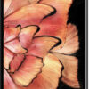 vivo X Fold2