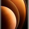 Vivo X100