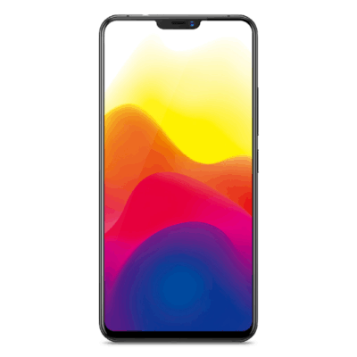 vivo X21 UD