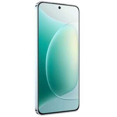 Honor 300