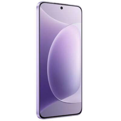 Honor 300