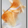 Huawei Mate X3