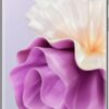 Huawei P60