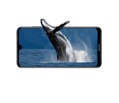 Huawei Y Max
