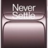 OnePlus 13T
