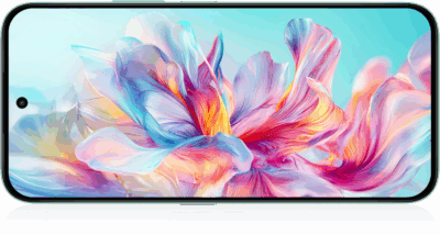 HONOR X6c